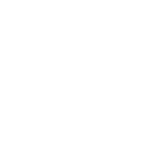 VCloud Info Solutions Inc